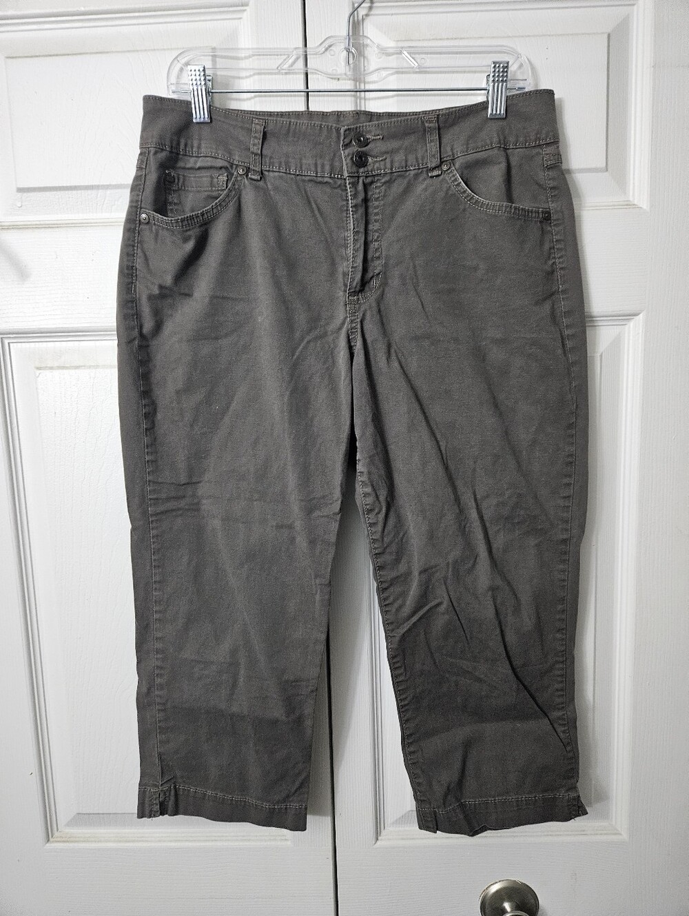 Bandolinoblu Women's Brown Capri Pants